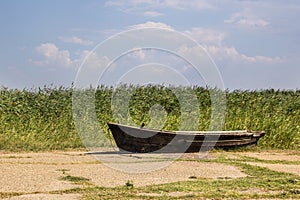 Old fishing boat on asphalt on the background of reeds