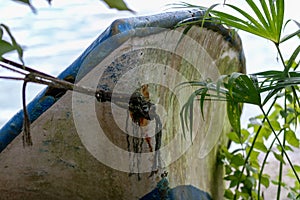 Old fishing boat on the shores of Golfito, Costa Rica. photo