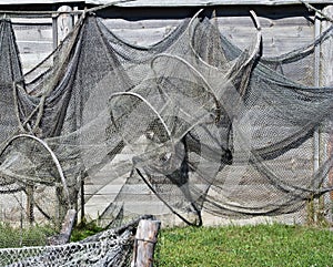 Old fishing nets