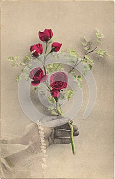 Old flower postcard