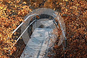 Old foot bridge in autumn forest