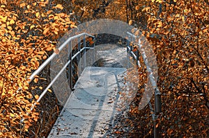 Old foot bridge in autumn forest