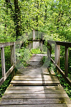 Old footbridge over a creek near Governor Bond Lake in rural Illinois