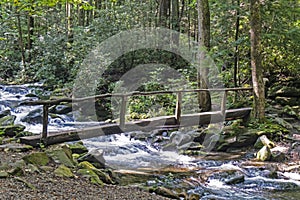 An old footlog crosses a white water stream in the Smokies. photo