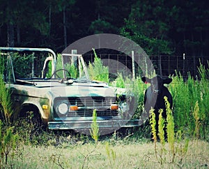 Old Ford Bronco