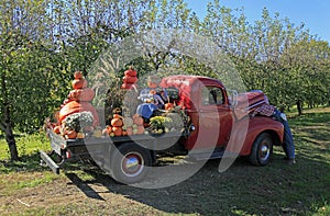 Old Ford truck in Hendersonville