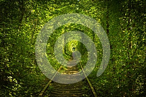 Old forest and railway tunel of love photo