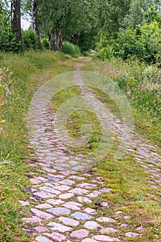 The old forest road of their cobblestones, cobblestone road in the forest