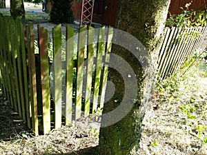 An old, forgotten, closed manhole covered with moss