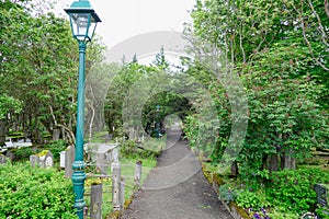 Old forrested cemetery in reykjavik