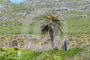 Old forrestry station next to Chapmans Peak drive