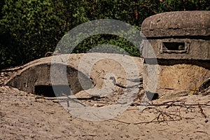 Infantry bunker. Hel, Pomerania, Poland photo