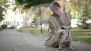 Old French Bulldog with one blind eye in city park with blurred mature woman stroking pet. Wide shot relaxed happy pet
