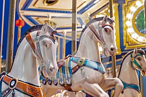 Old French carousel spins in a holiday park. Elephant horses on a traditional vintage fairground carousel, evening at