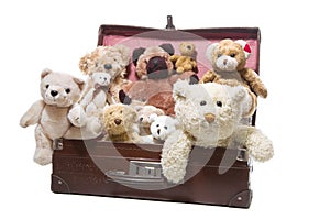 Old friends - nostalgic plush teddy bears isolated on white
