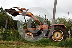 Old Frontloader Tractor in the vineyard