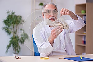 Old funny male zoology teacher demonstrating fish skeleton