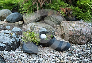 Old galoshes in the form of decorations in the garden