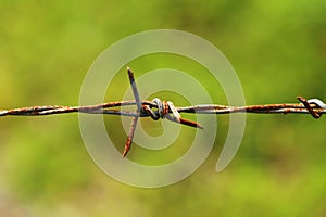 Old galvanised steel barbed wire with rusty.