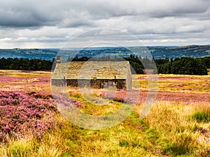 An old gamekeepers hut in open moorland