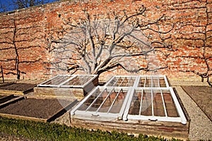 Old Garden Cold Frames