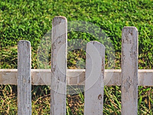 Old garden fence with green grass