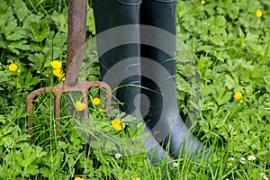 Old Garden Fork and Rubber Boots with Weeds and Wild Flowers