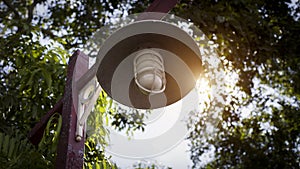 Old garden lamp in my backyard.