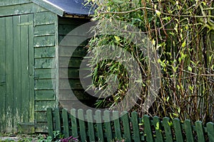 Old Garden Shed with Low Fence and Shrubbery