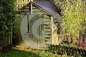 Old Garden Shed in Winter Afternoon Sunshine