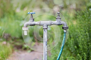 Old garden tap