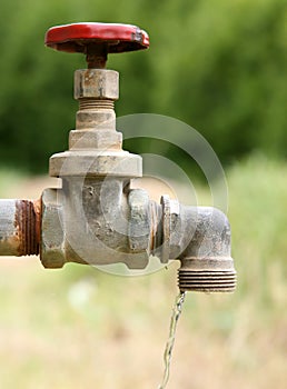 Old garden tap in a green garden in summer