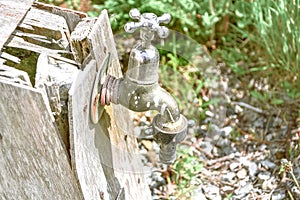 Old garden tap in a green garden in summer, macro close up with copy space