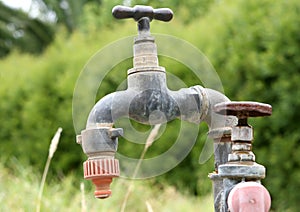 Old garden tap with plastic hose connection