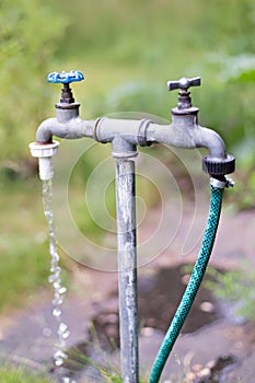 Old garden tap