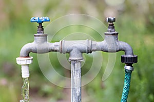 Old garden tap