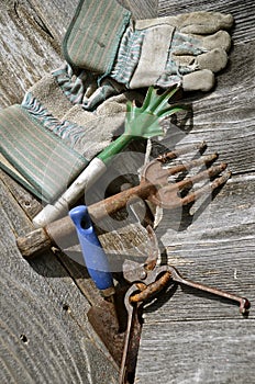 Old garden tools and gloves on weathered wood