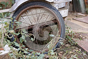 Old garden wheelbarrow wheel. Rusted metal. Spoked wheel