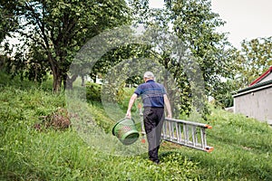 Old gardener with ladder and basket walking in garden