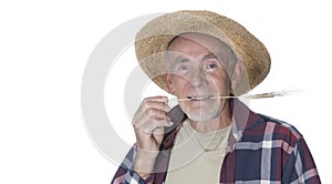 Old gardener with straw in mouth