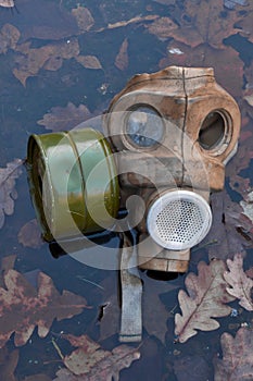 An old gas mask lies among dead foliage, a symbol of the horrors