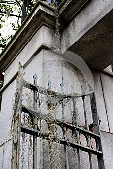 Old gate is draped with Spanish moss