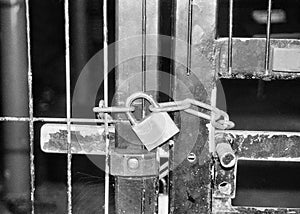 Old gate with metal padlock and spider web