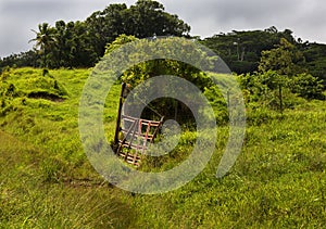 Old Gate, Pasture, Maui, Hawaii