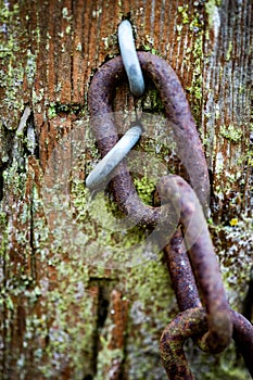 Old gate post with chain and barbed wire