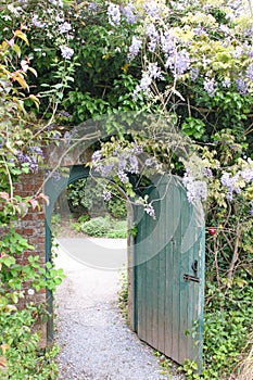 Old gate stands open and wisteria grows over the brick archway