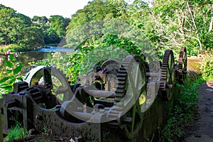 Old gear cogs of water lock in forest