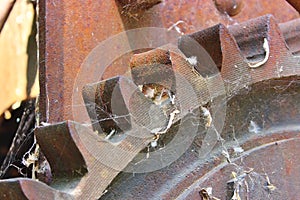 Old gearwheel