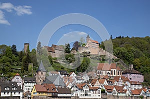 a old german village at the Neckar