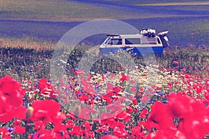 Old german vintage campervan cruising trough beautiful poppy field, Nashville retro vintage photo filter effect, warm